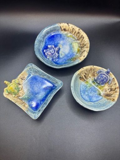 Turtle beach dishes